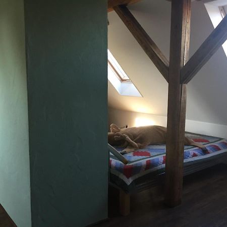 Ferienwohnung Schulze Freital Dış mekan fotoğraf